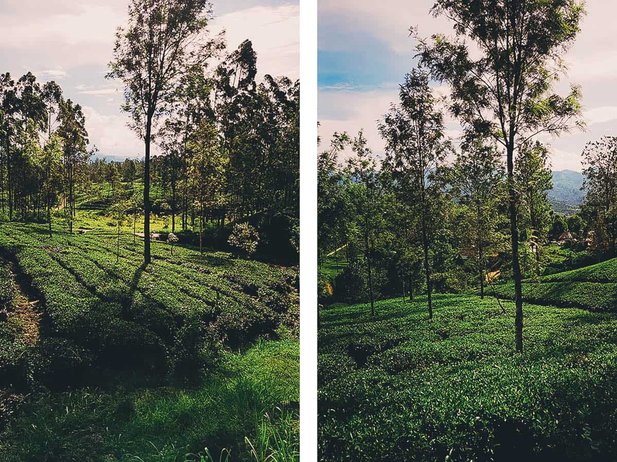 Kandy-Ella Train Ride, Sri Lanka