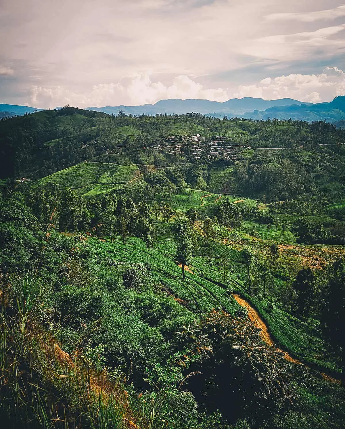 Kandy-Ella Train Ride, Sri Lanka