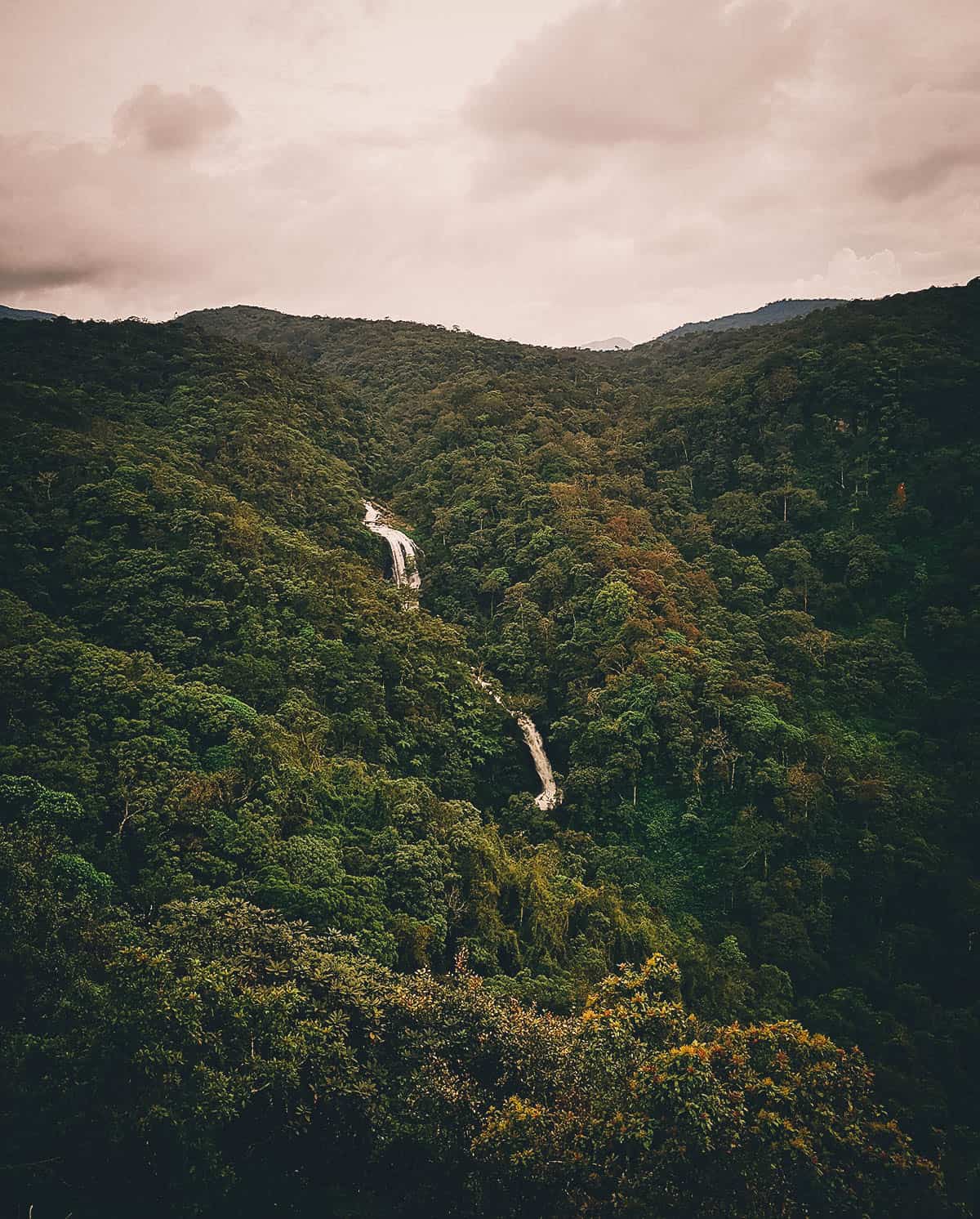 Kandy-Ella Train Ride, Sri Lanka