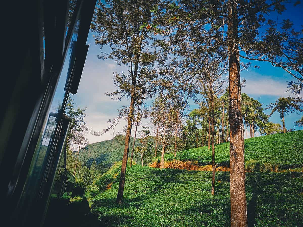 Kandy-Ella Train Ride, Sri Lanka