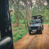 Go on Safari to See the Elusive Leopard at Yala National Park in Sri Lanka