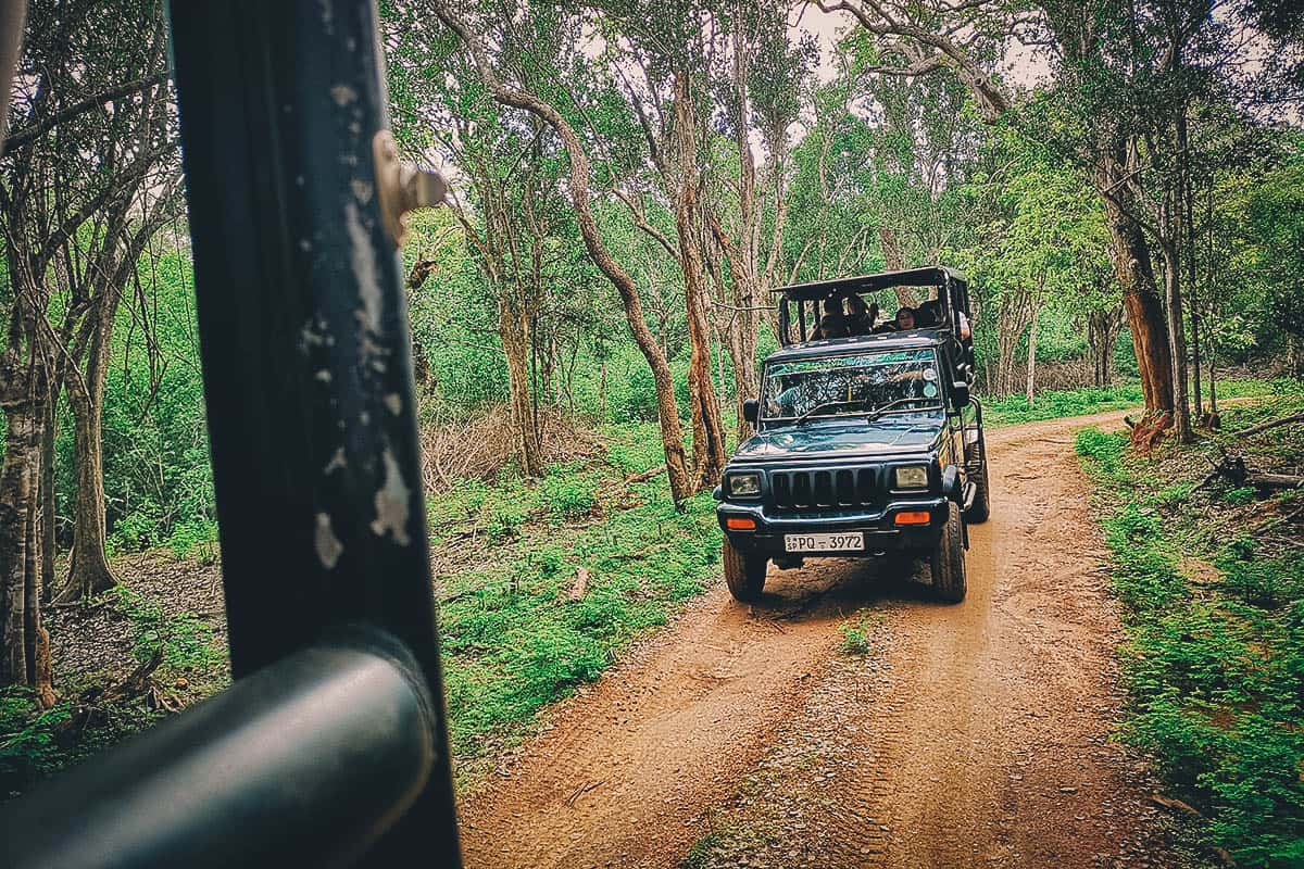 Yala National Park Safari: The Best Place to See the Elusive Leopard in Sri Lanka