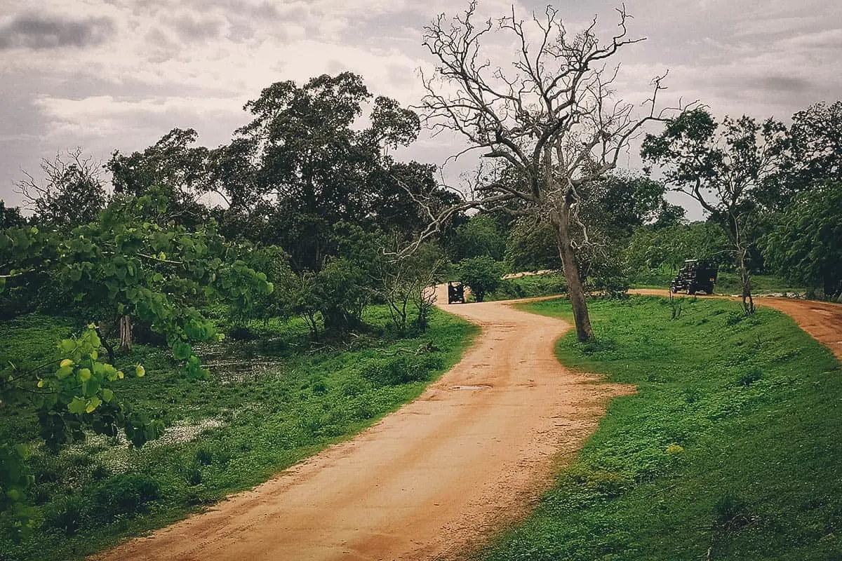 Yala National Park, Hambantota, Sri Lanka