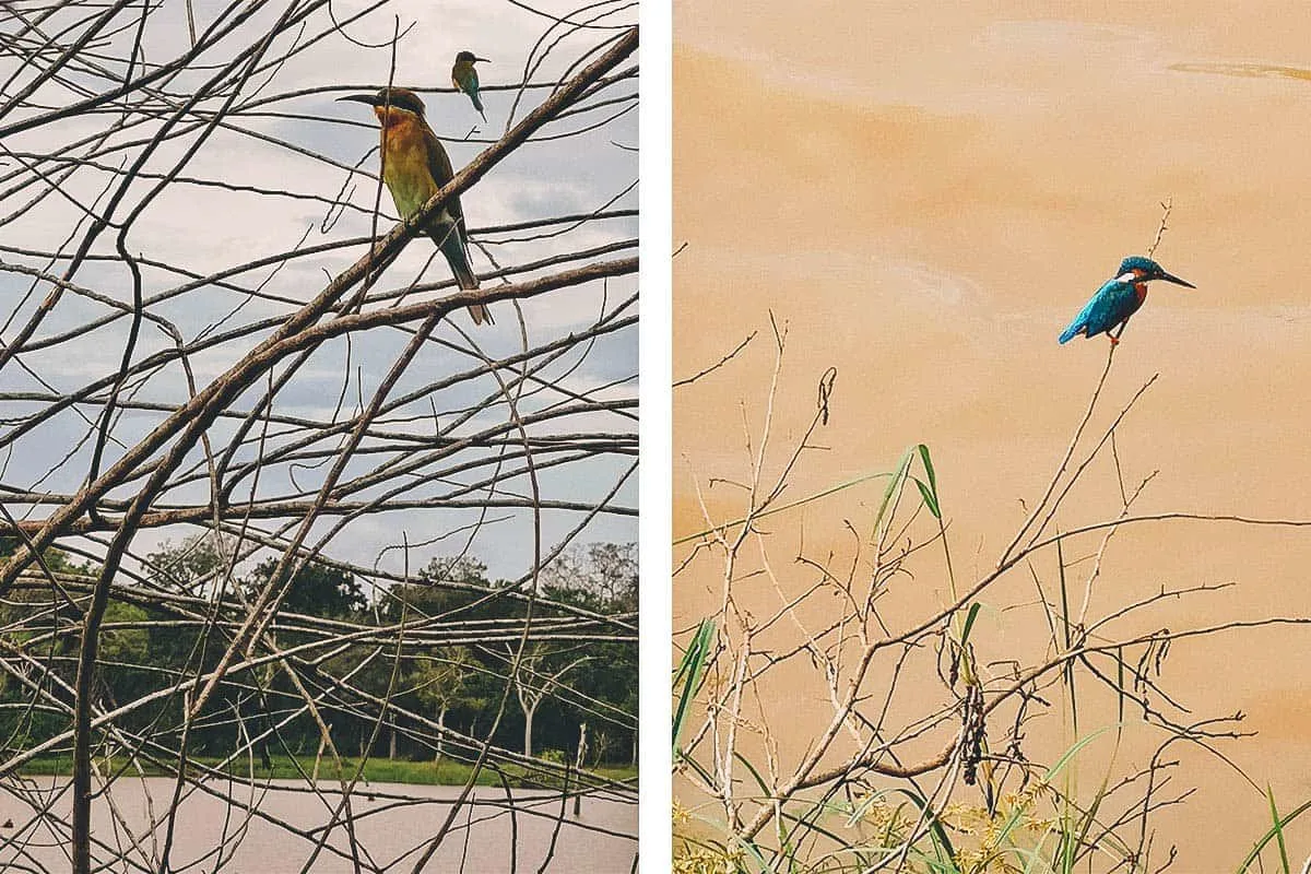 Yala National Park, Hambantota, Sri Lanka