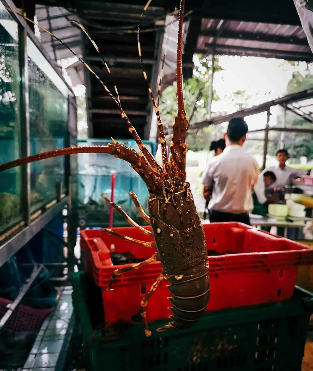 Min Lan Seafood, Yangon, Myanmar