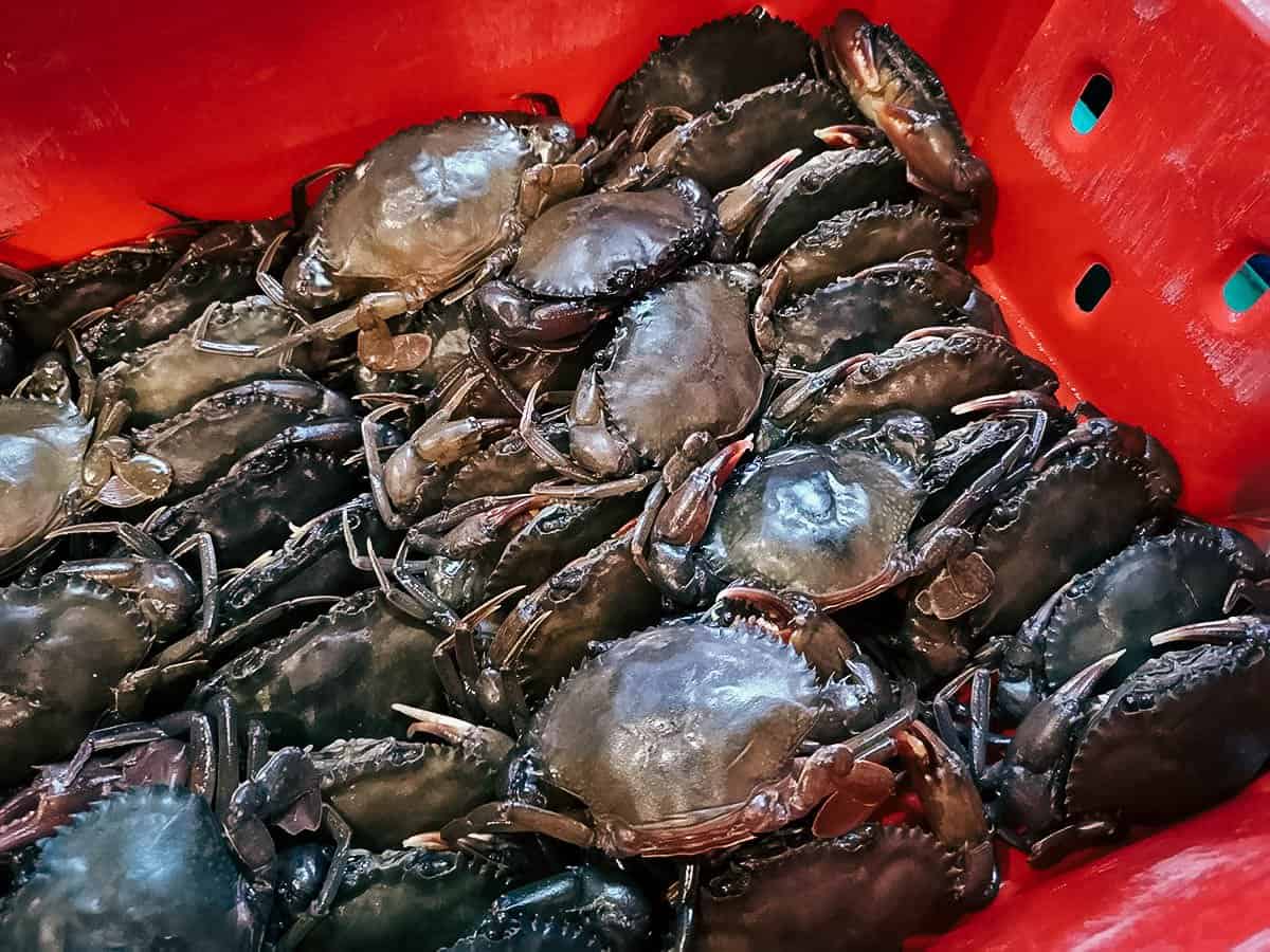 Yangon Food Tour, Yangon, Myanmar