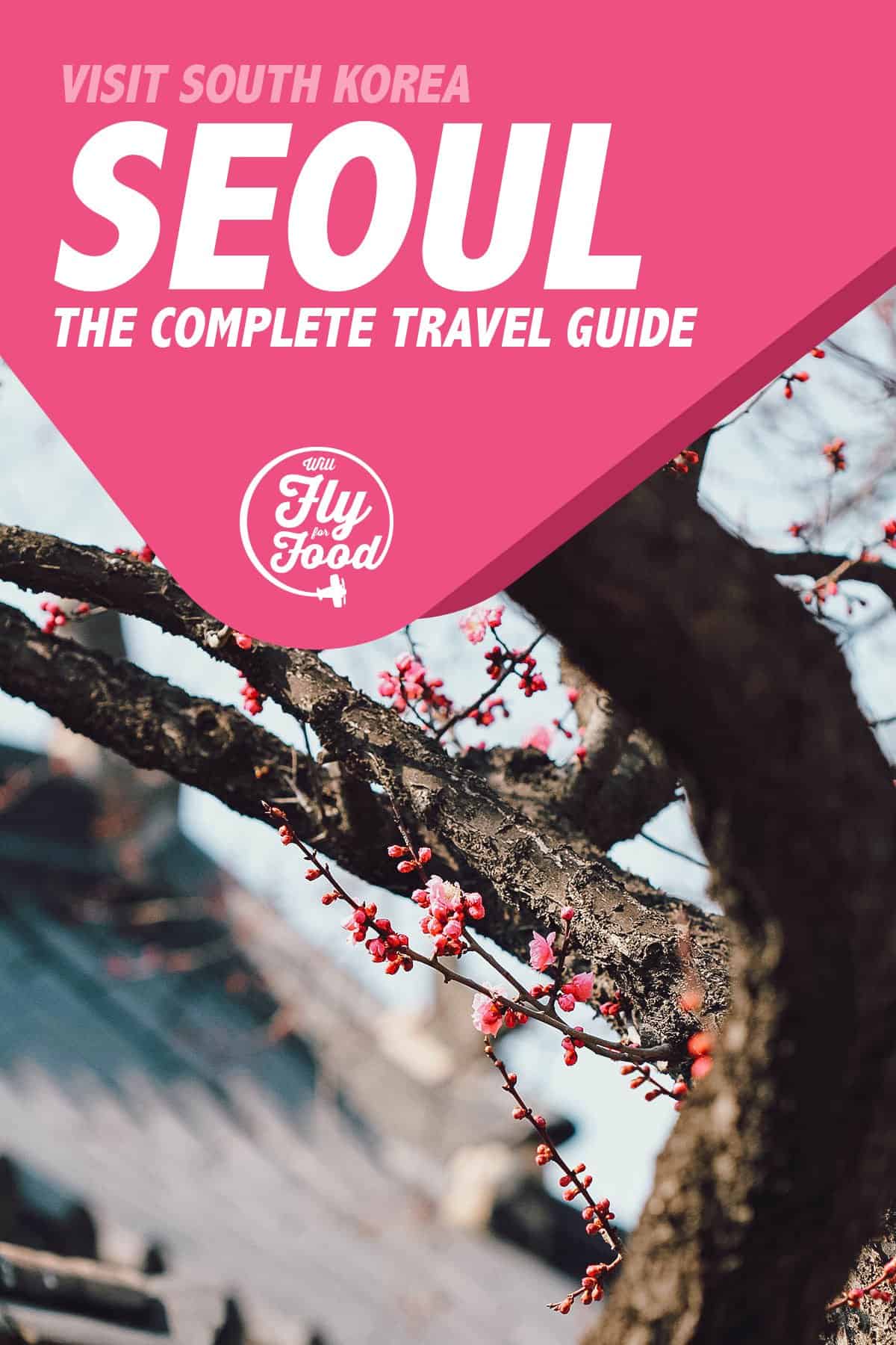 seoul travel guide pdf