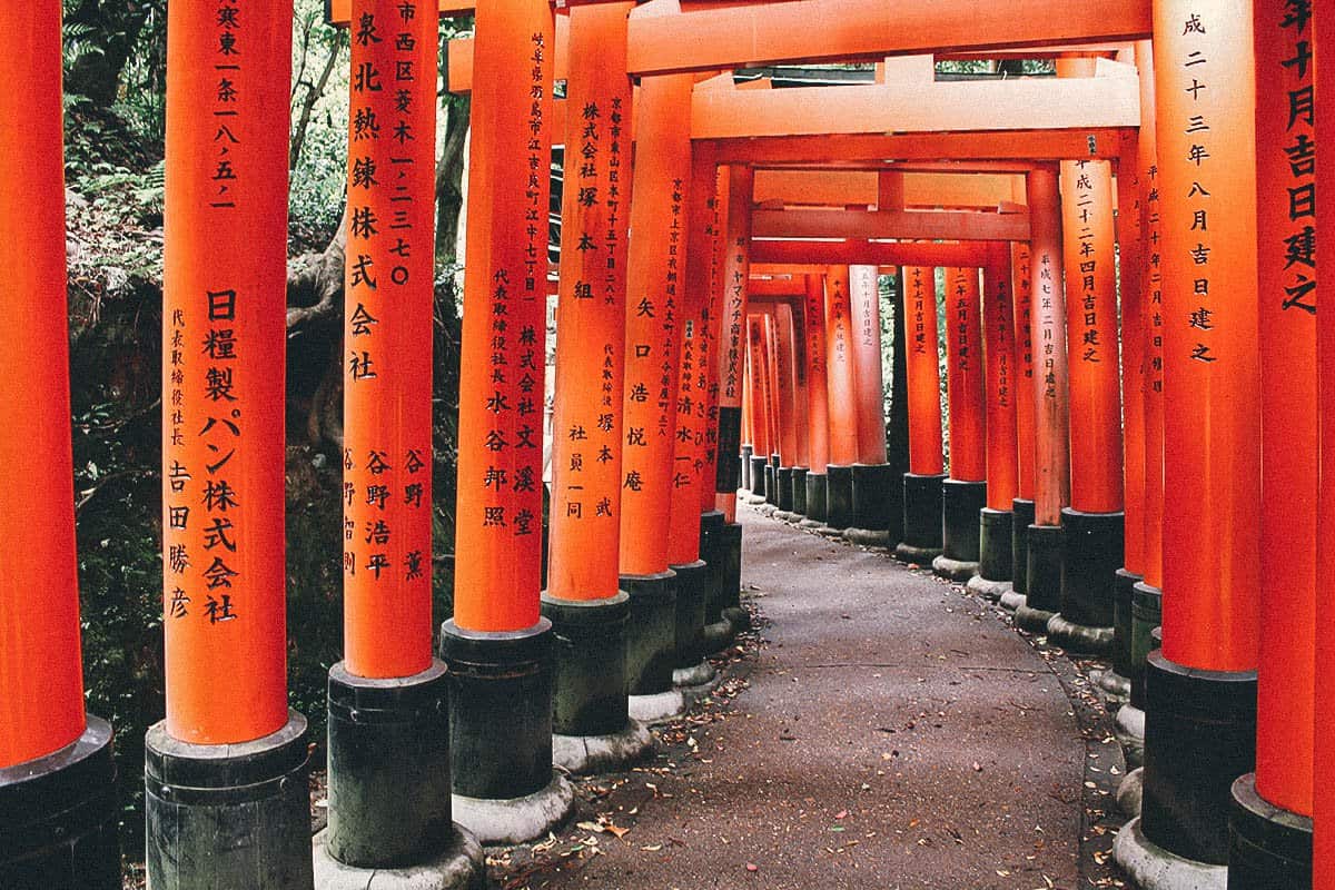 Orange torii gates in Kyoto