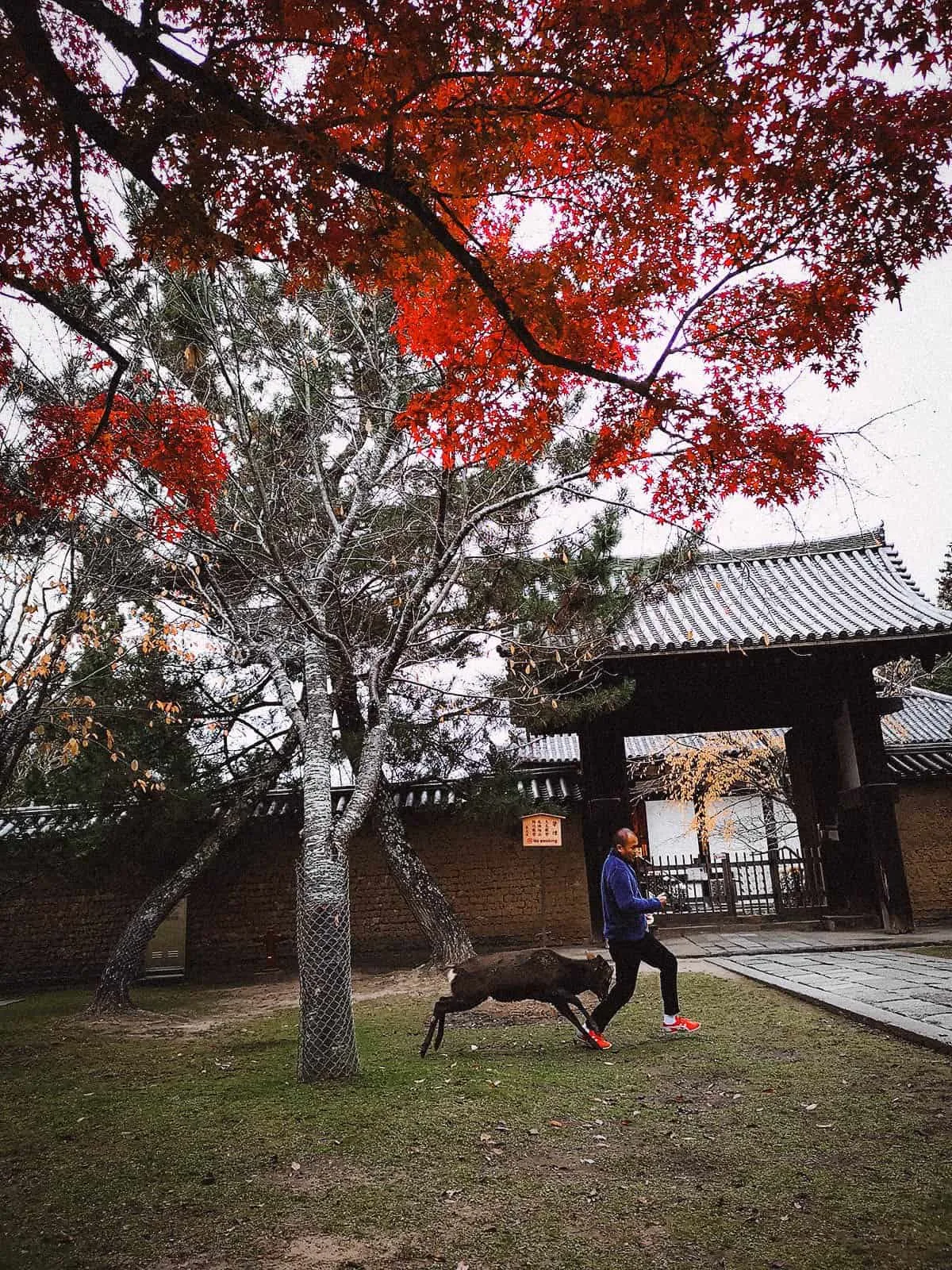 Nara, Japan