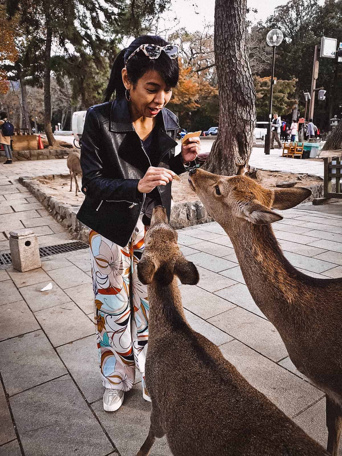 Nara Deer Park, Japan