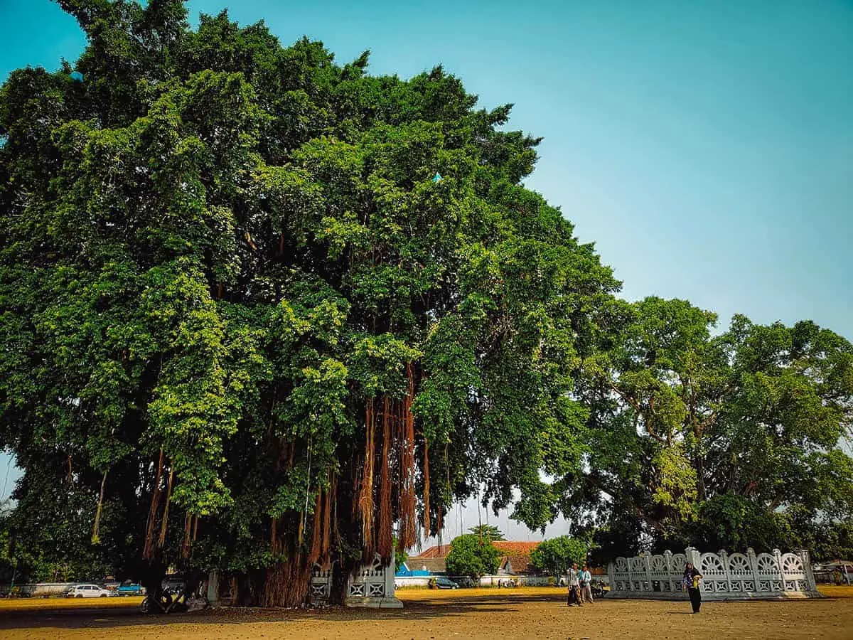 Alun-Alun, Yogyakarta, Indonesia