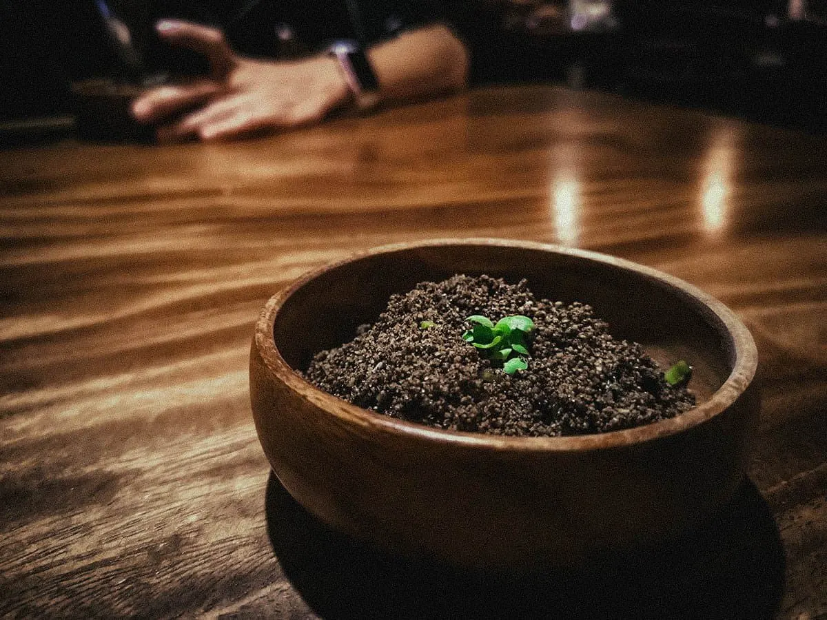 The Best Restaurants in Manila Fine dining dish at a restaurant in Metro Manila