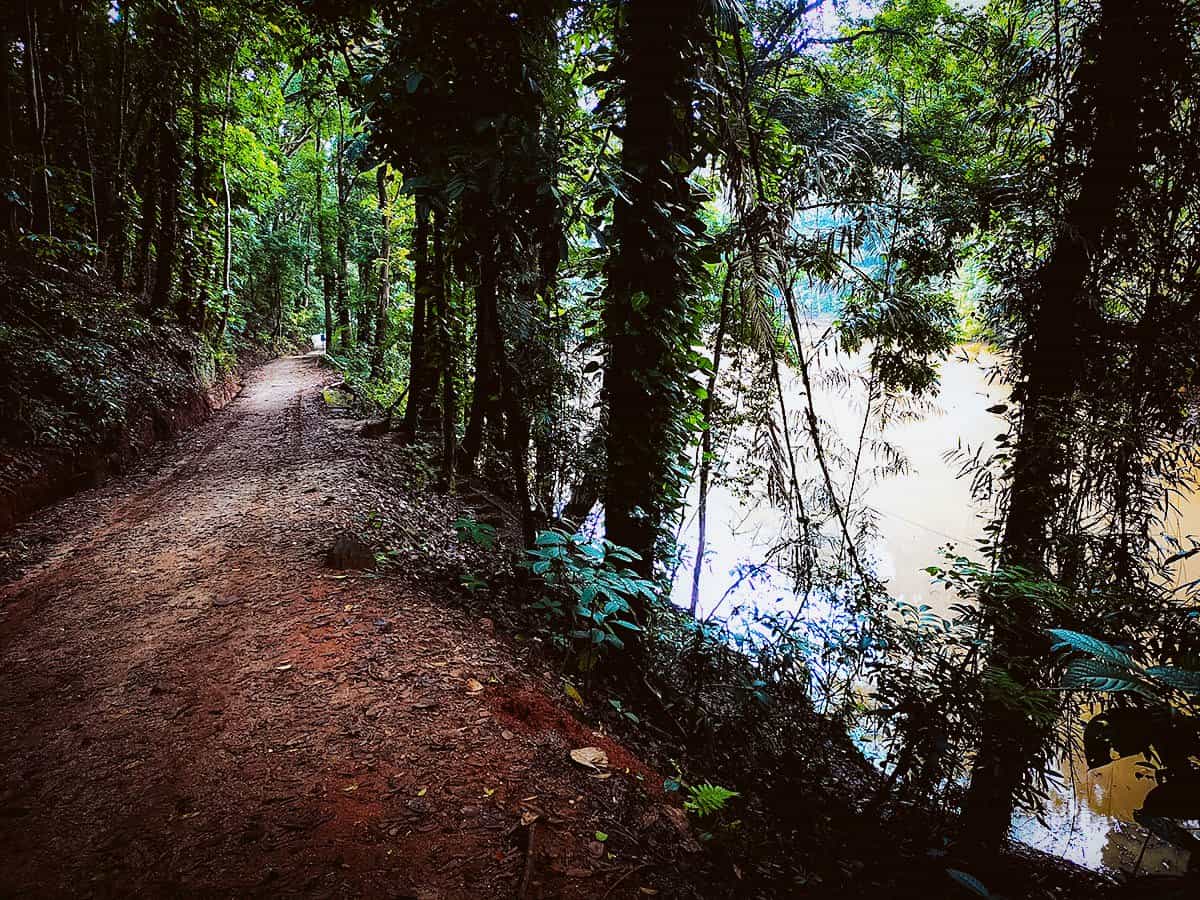 Udawattakele Forest Reserve, Kandy, Sri Lanka