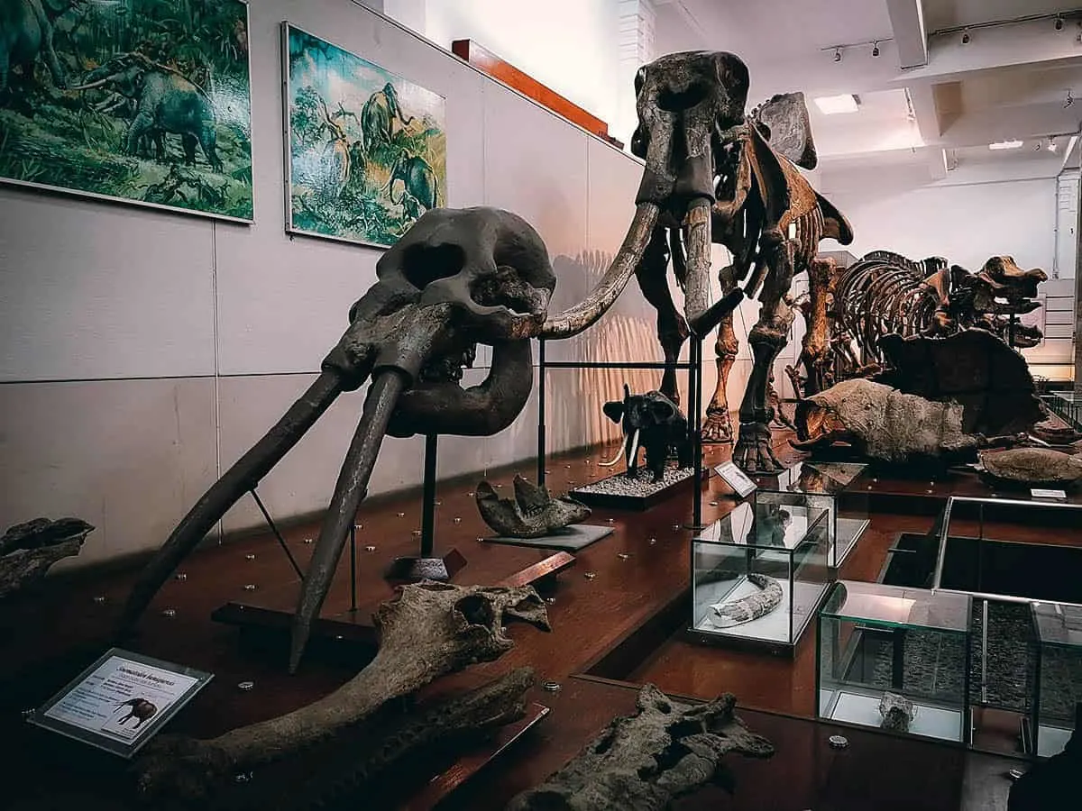 Geological Museum, Bandung, Indonesia
