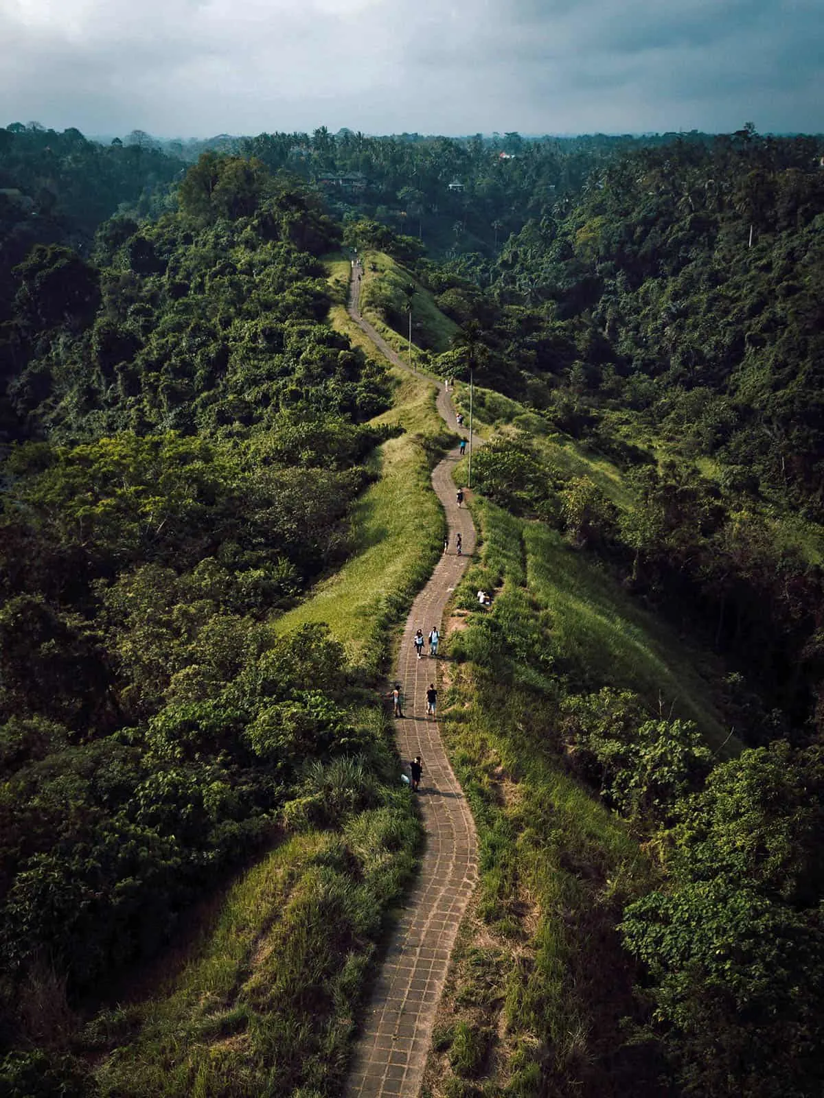 Travel guide to Ubud: Campuhan Ridge Walk in Ubud, Bali, Indonesia