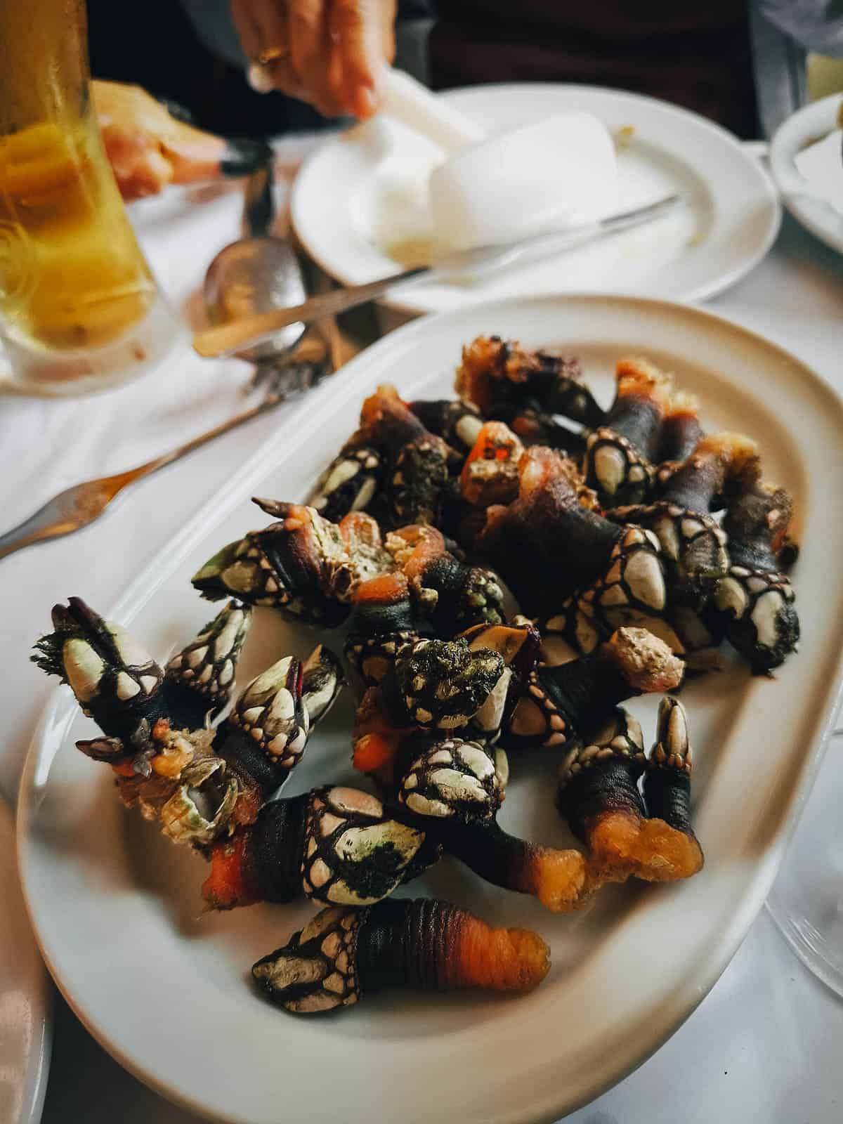 Percebes, gooseneck barnacles