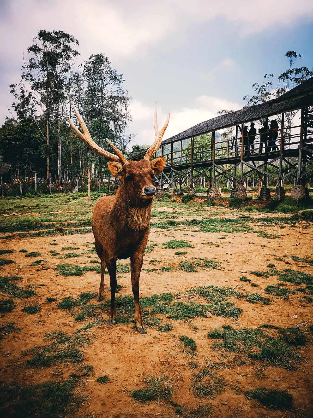 Kampung Cai Ranca Upas, Bandung, Indonesia