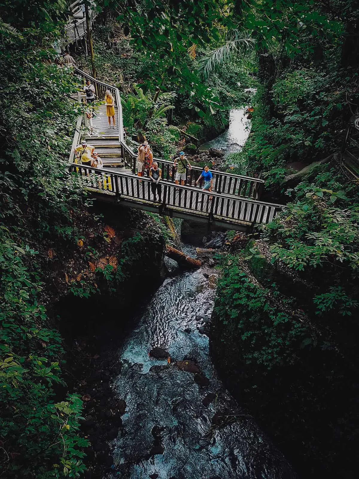 Travel guide to Ubud: Sacred Monkey Forest Sanctuary, Ubud, Bali, Indonesia