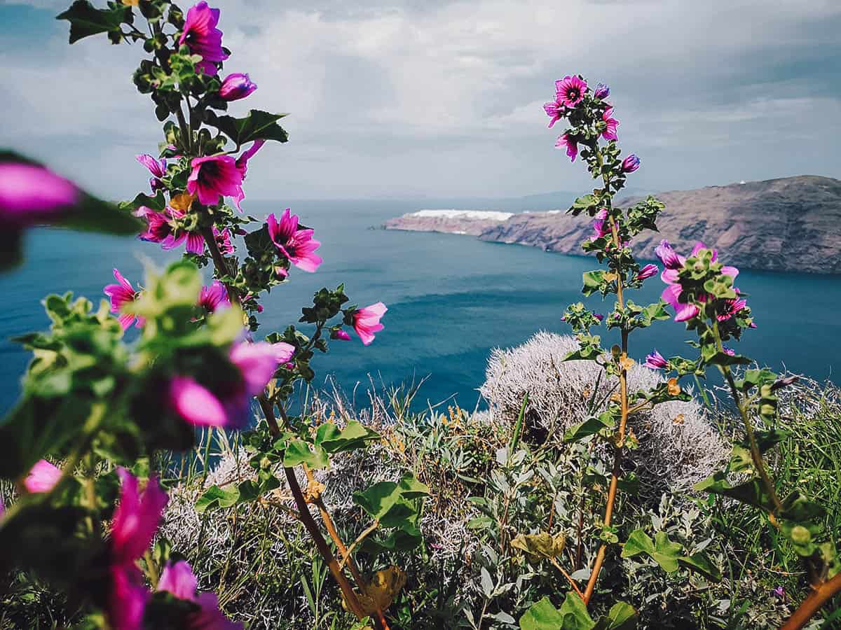 Pictures of Santorini, Greece