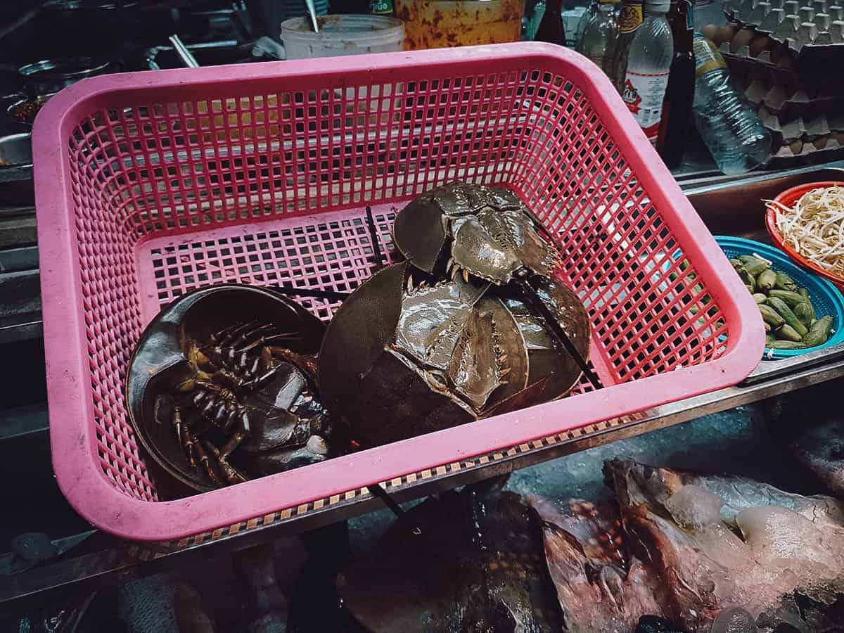 Horshoe crabs at Ko Ang Seafood restaurant in Phuket Old Town