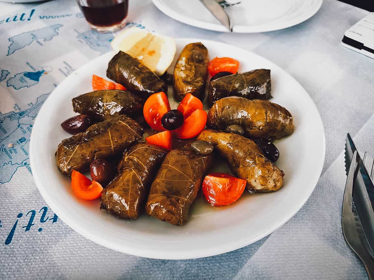 Dolmadakia or Greek stuffed grape leaves