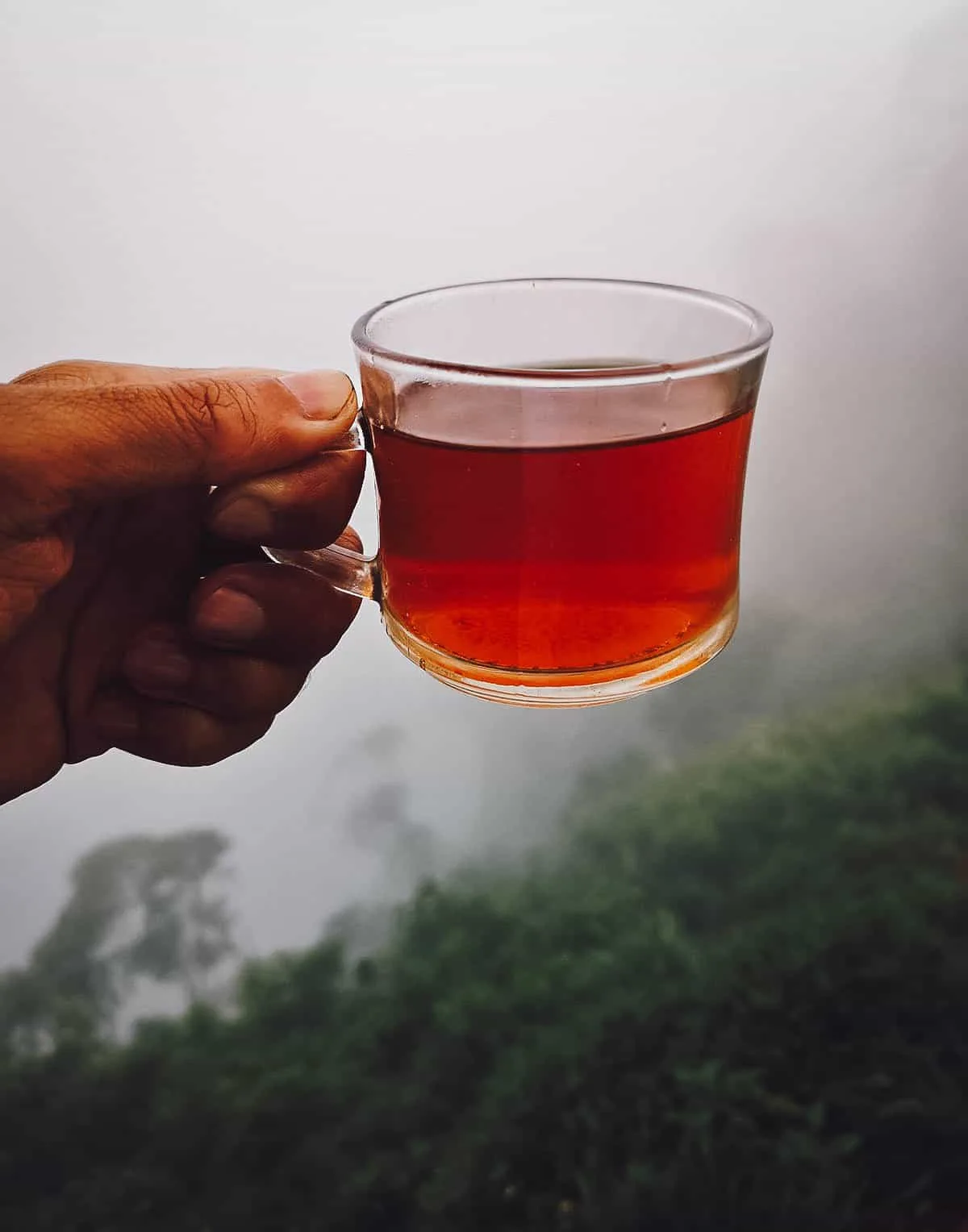 Drinking Tea, Ella, Sri Lanka