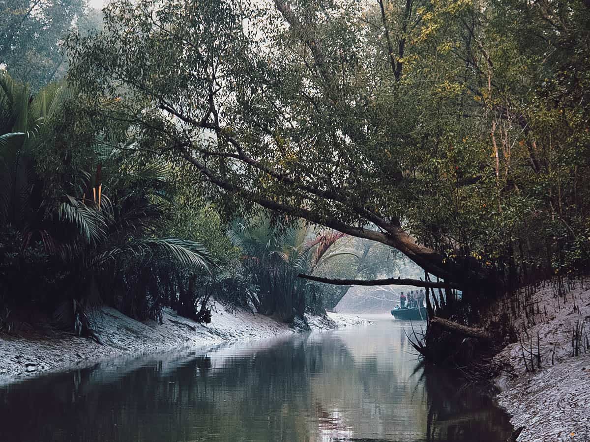 Sundarbans, India