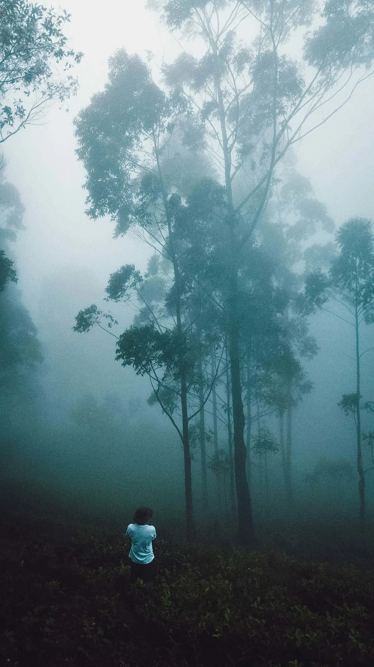 Lipton's Seat, Ella, Sri Lanka