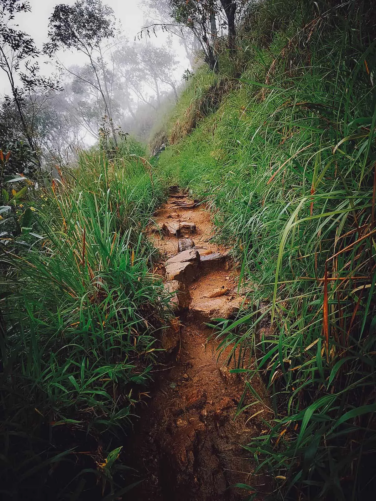 Little Adam's Peak, Ella, Sri Lanka