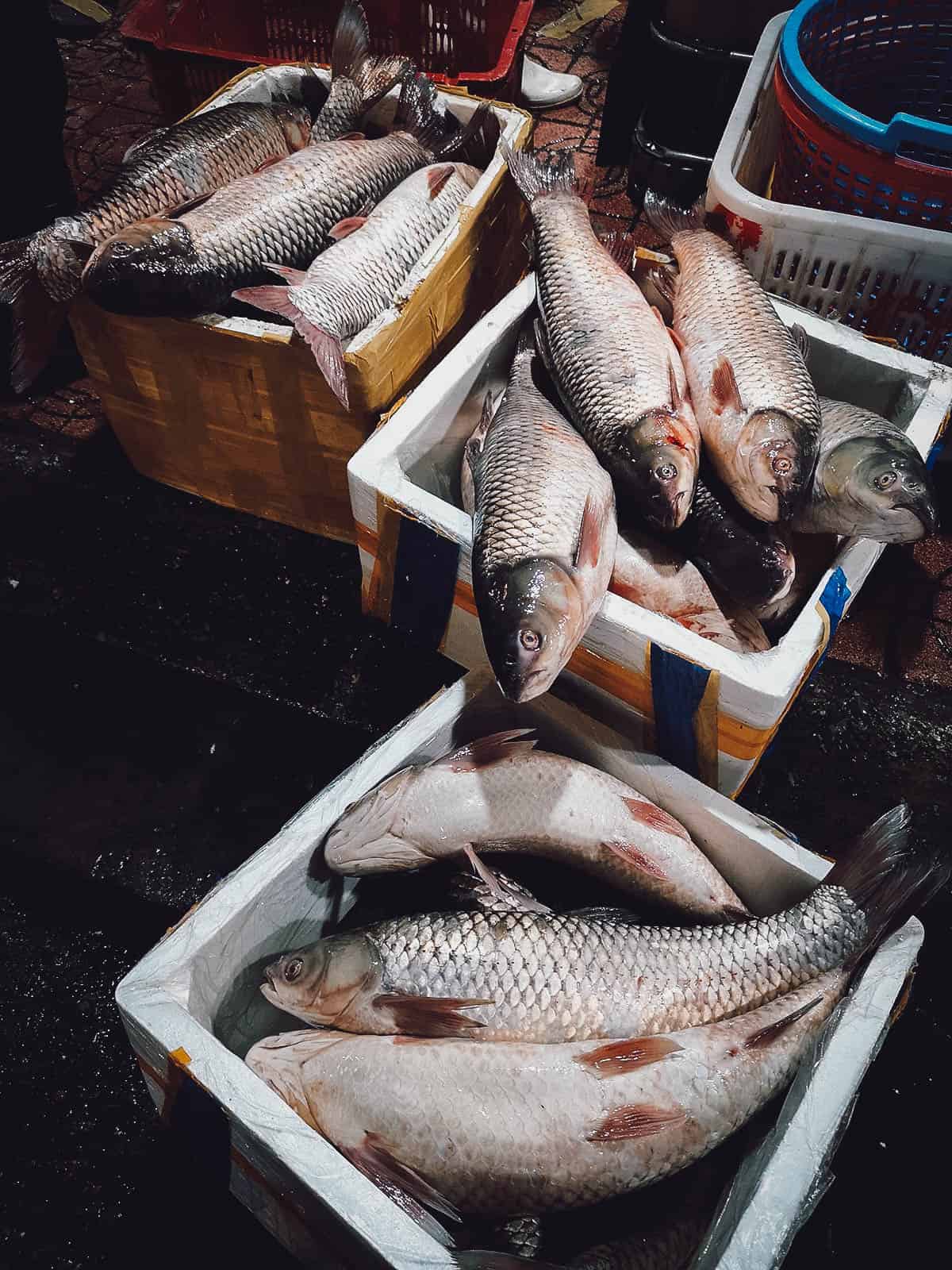 Hanoi Food Tour: Explore Hanoi’s Best Markets with A Chef’s Tour