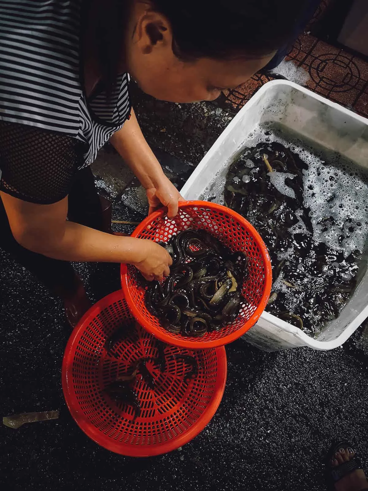 Hanoi Food Tour: Explore Hanoi’s Best Markets with A Chef’s Tour