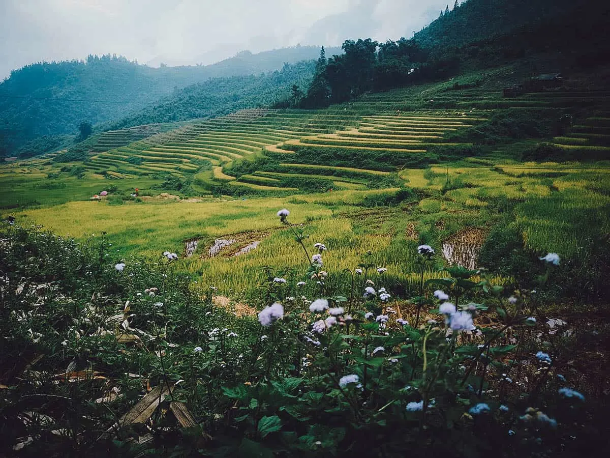 Sapa, Lao Cai Province, Vietnam