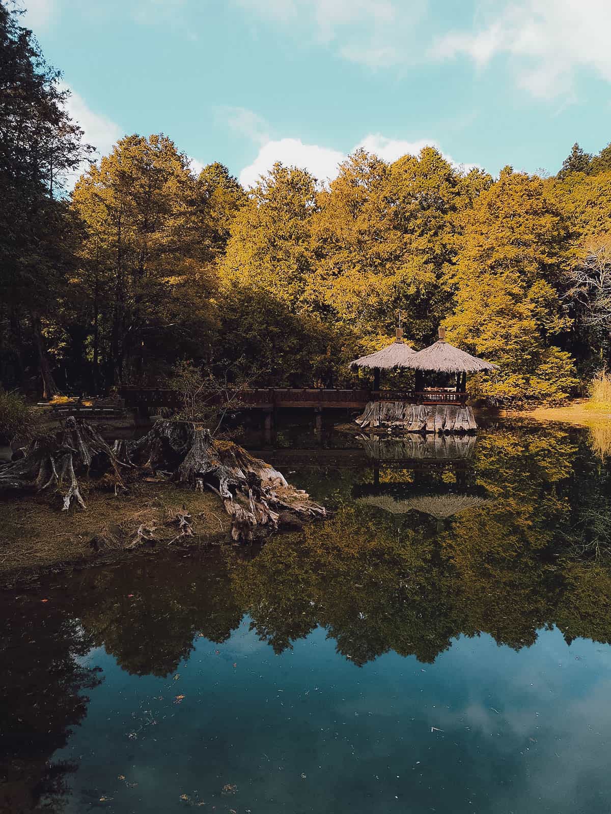 Sister Ponds at Alishan National Scenic Area, Chiayi County, Taiwan