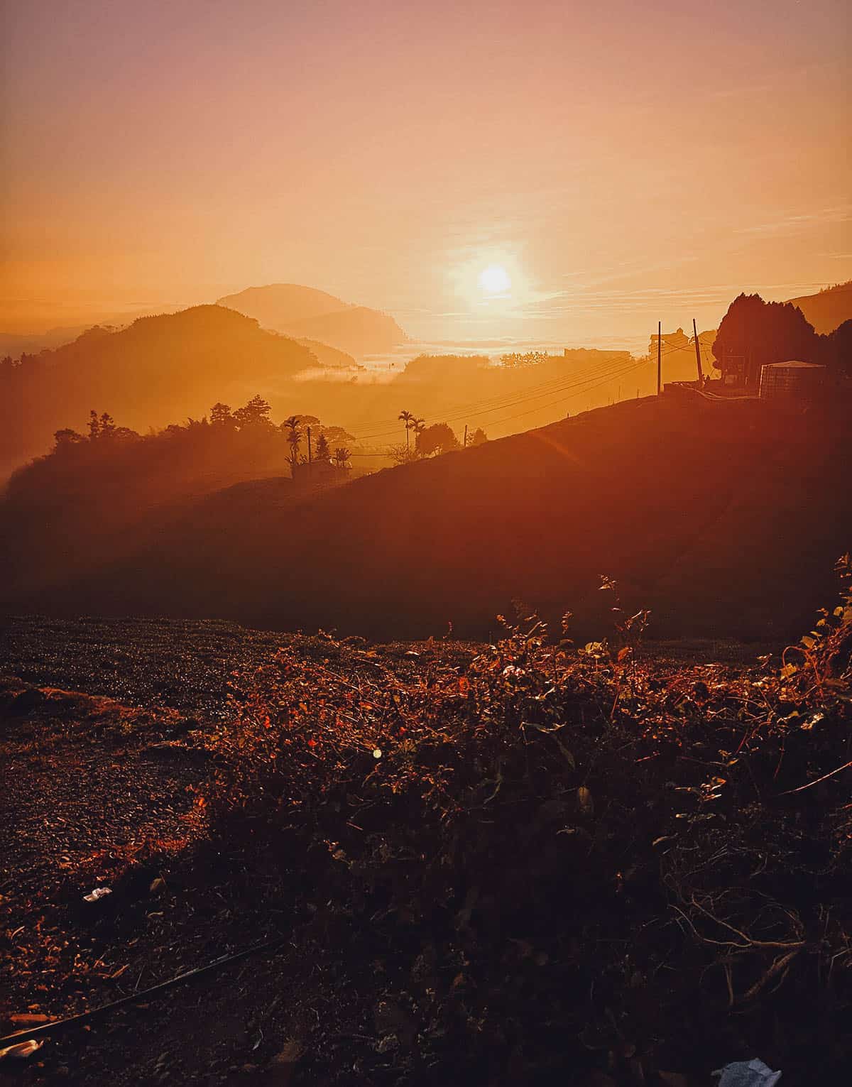 Sunset at Alishan National Scenic Area, Chiayi County, Taiwan