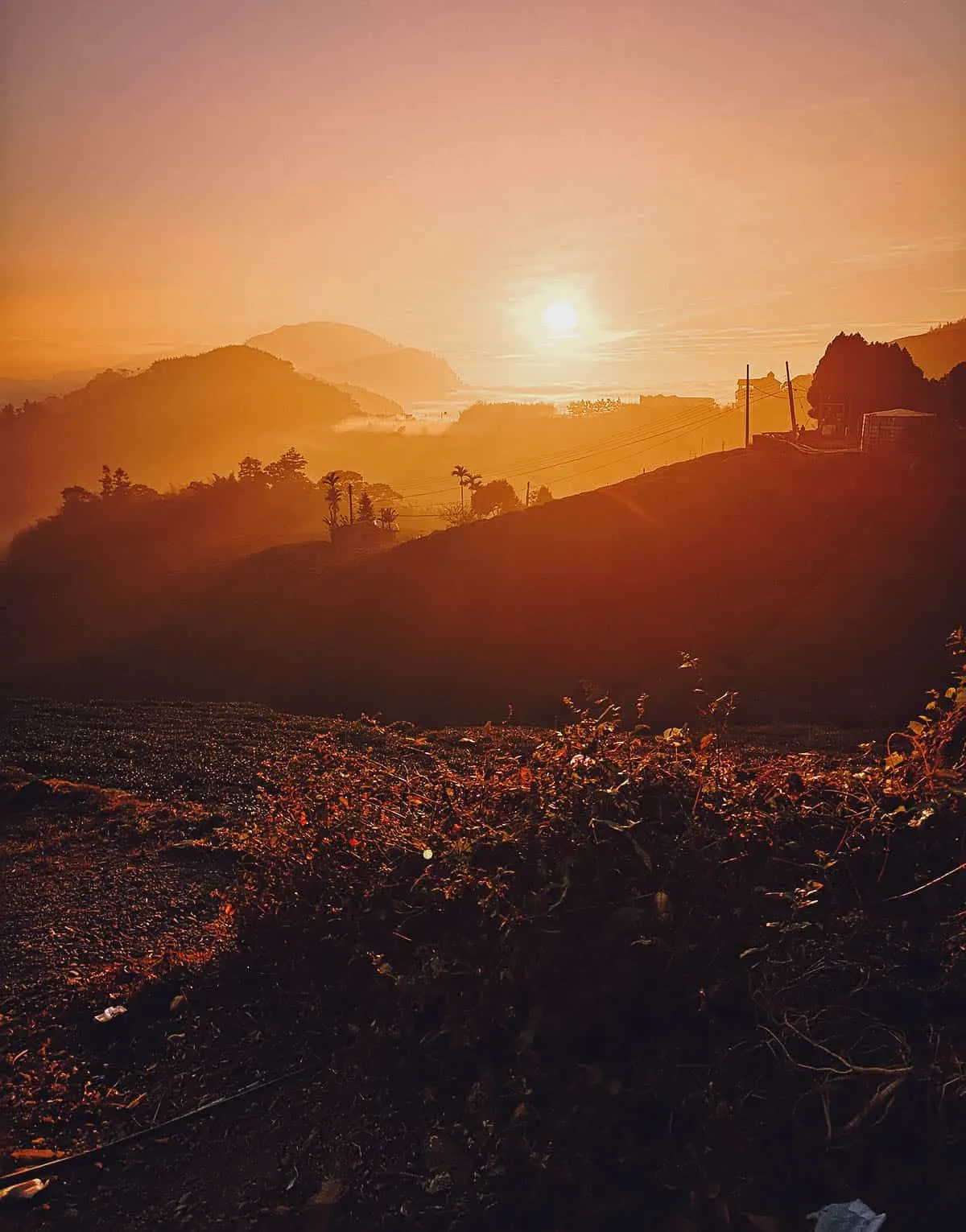 Alishan Forest Tour: Explore Fenqihu and Alishan Scenic Area from Chiayi City, Taiwan Sunset at Alishan National Scenic Area, Chiayi County, Taiwan