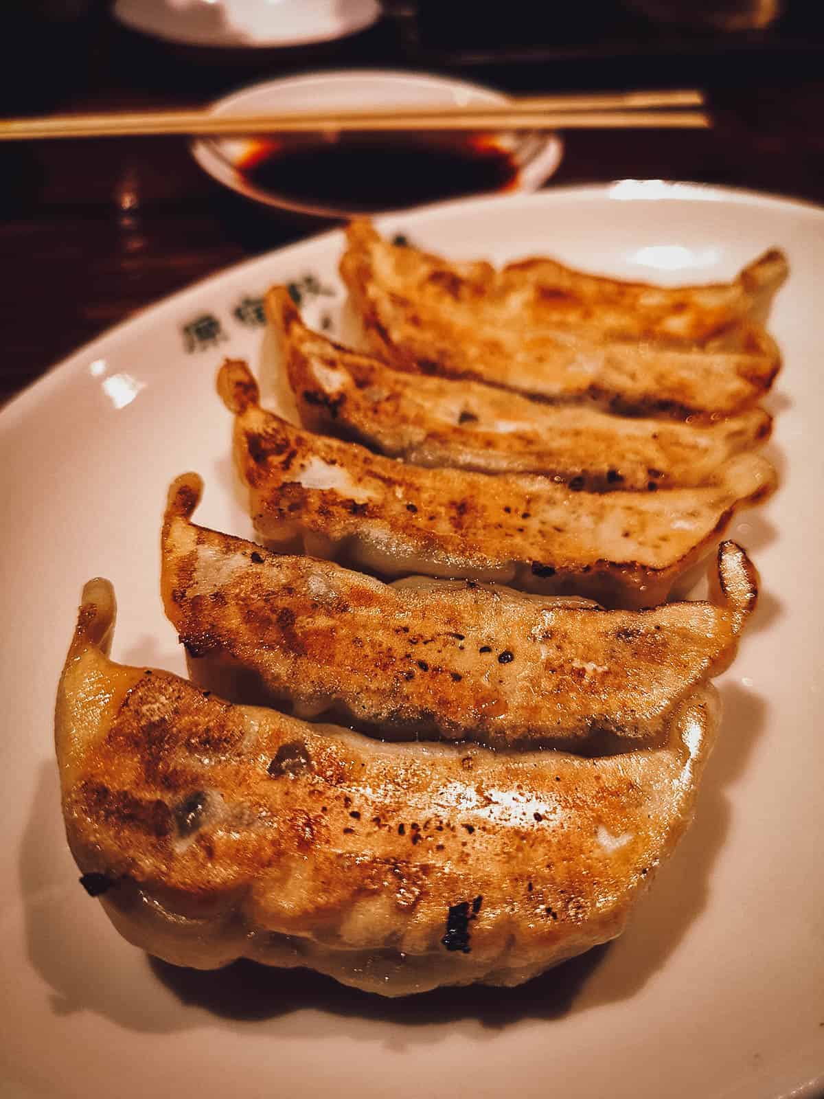 Pan-fried gyoza at Harajuku Gyoza Lou in Tokyo, Japan