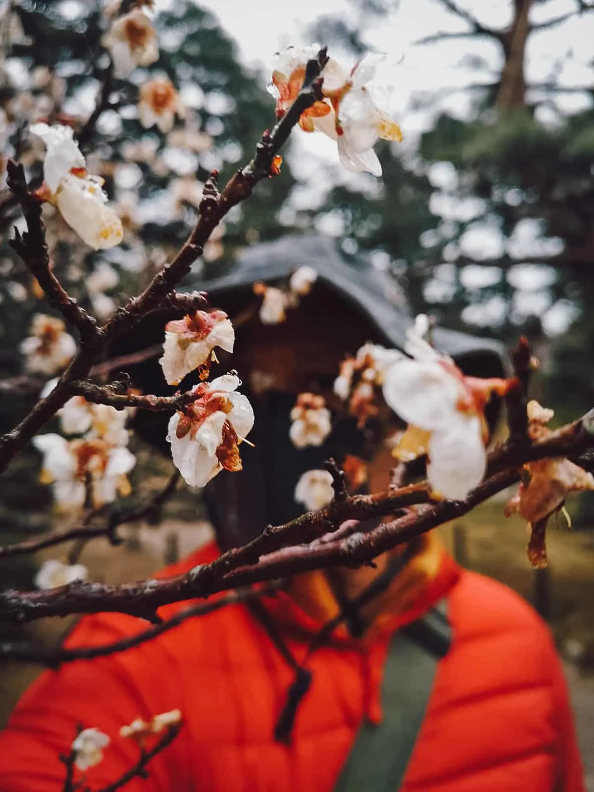 10 Things to Do in Kanazawa, Japan Kenroku-en