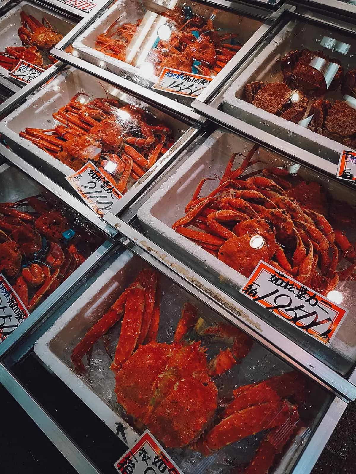 Kanazawa Food Guide: 10 Must-Try Restaurants Glass cases with crabs in Kanazawa