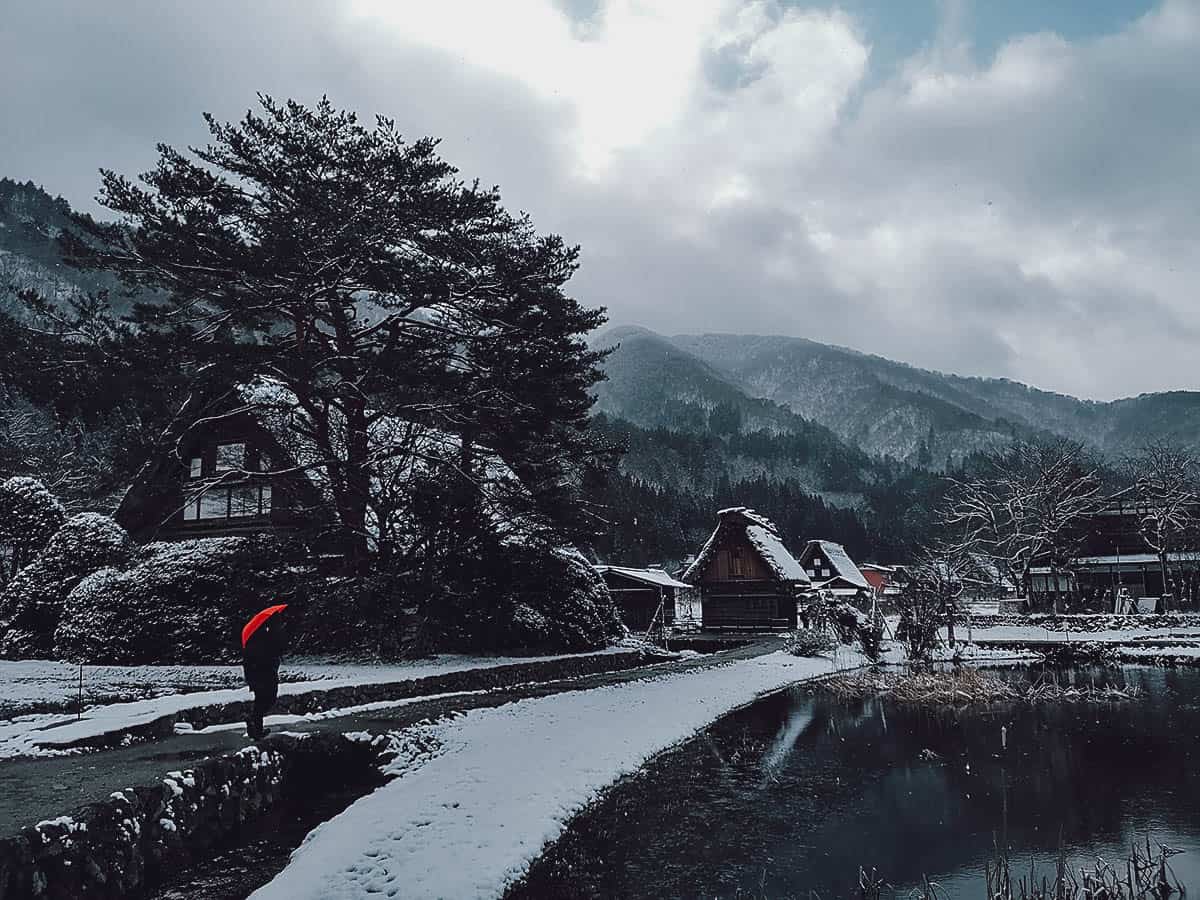 Shirakawa-go houses covered in snow