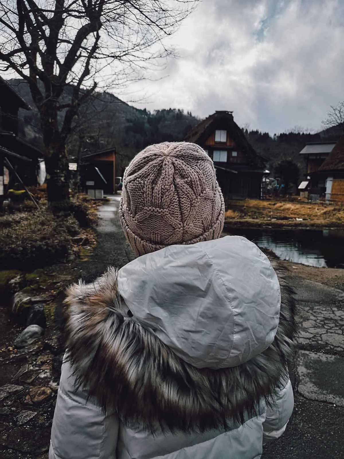 Shirakawa-go houses without snow