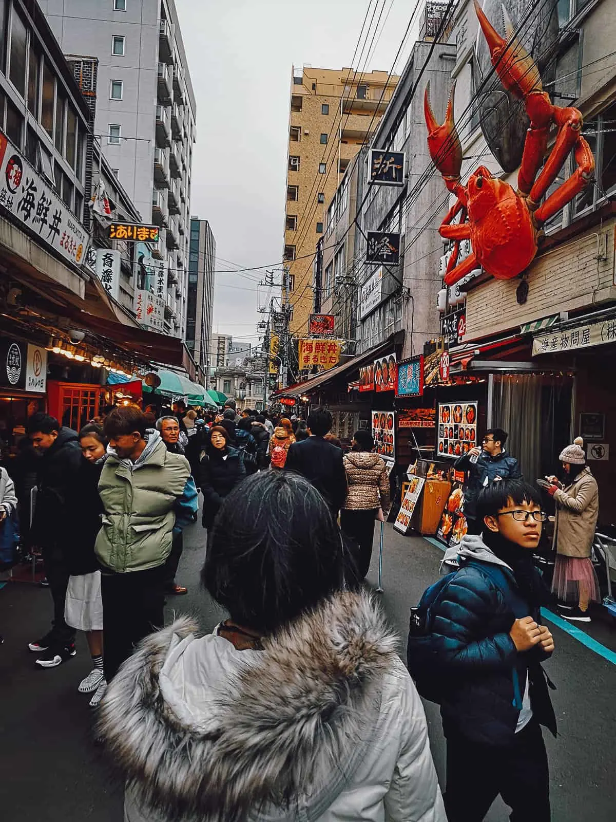 Exploring Tokyo's Tsukiji Outer Market in Japan