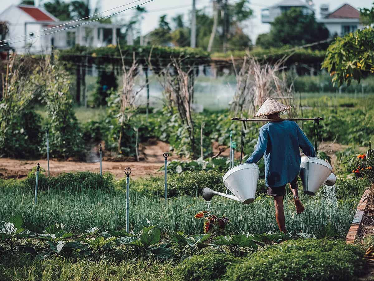 Tra Que Village in Hoi An, Vietnam