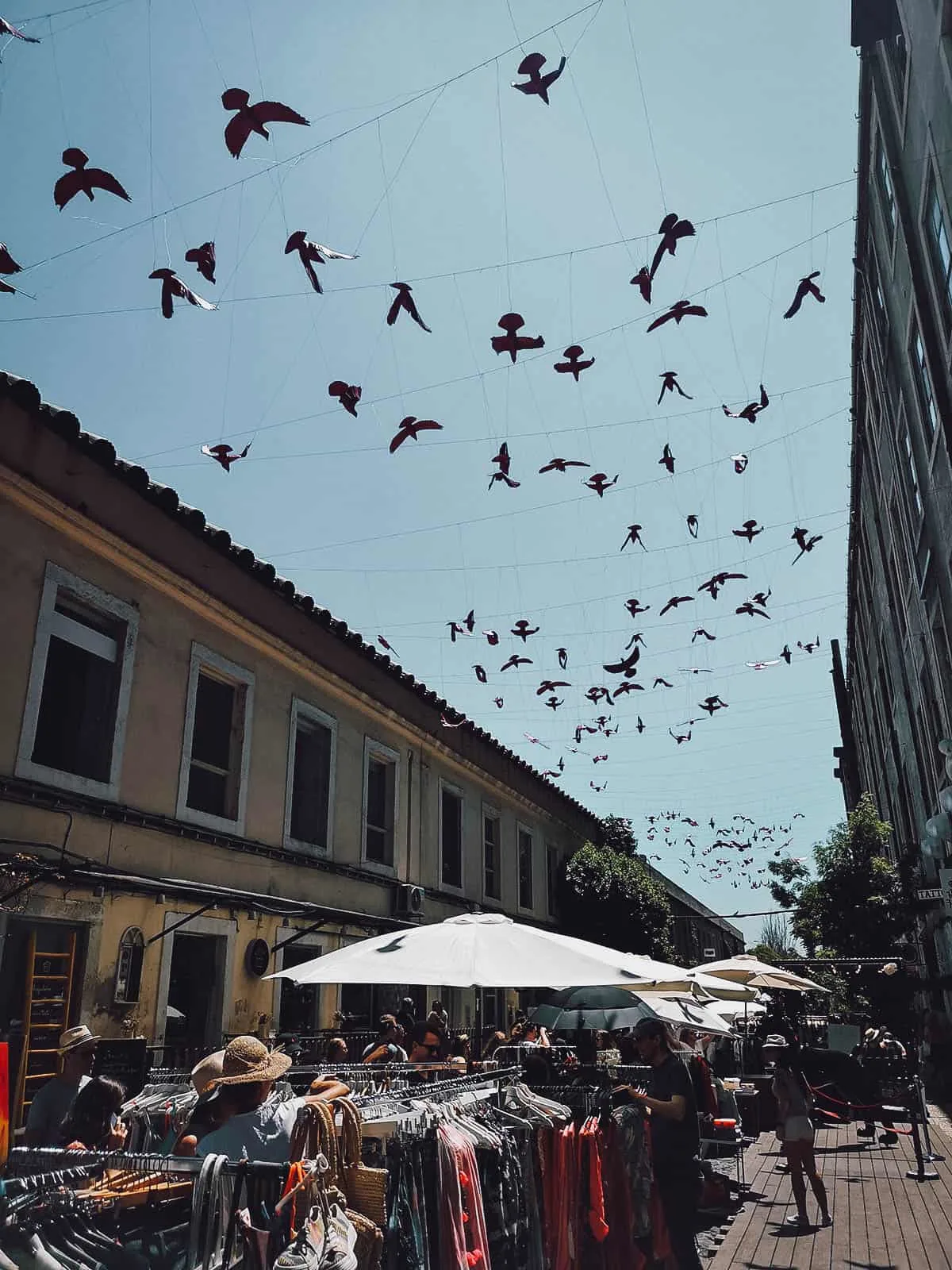 Hanging birds over clothing stalls