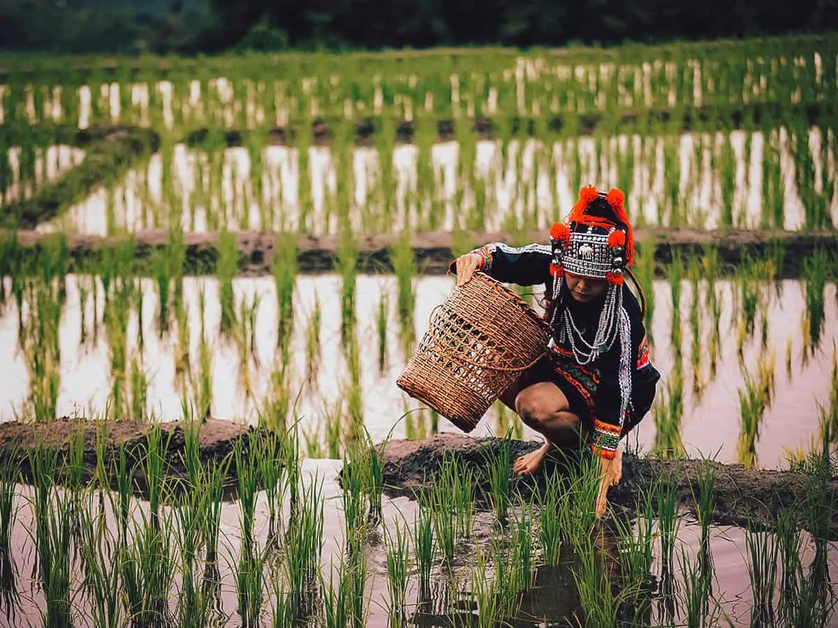 Trekking in Sapa, Vietnam Rice terraces around Lao Chai Village in Sapa, Vietnam