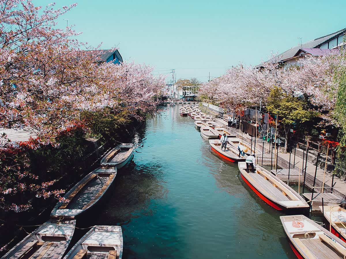 Canals in Yanagawa