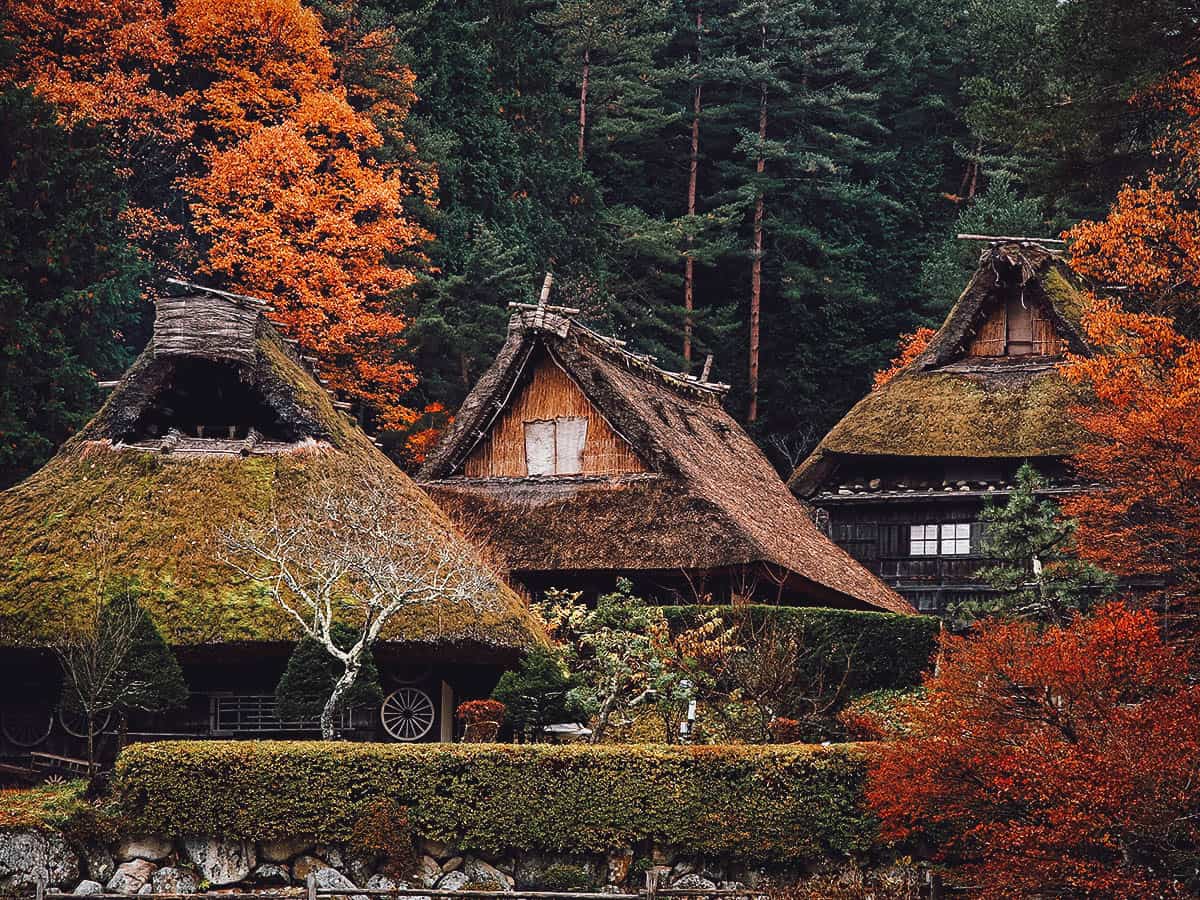 Gassho-zukuri houses in Hida Folk Village