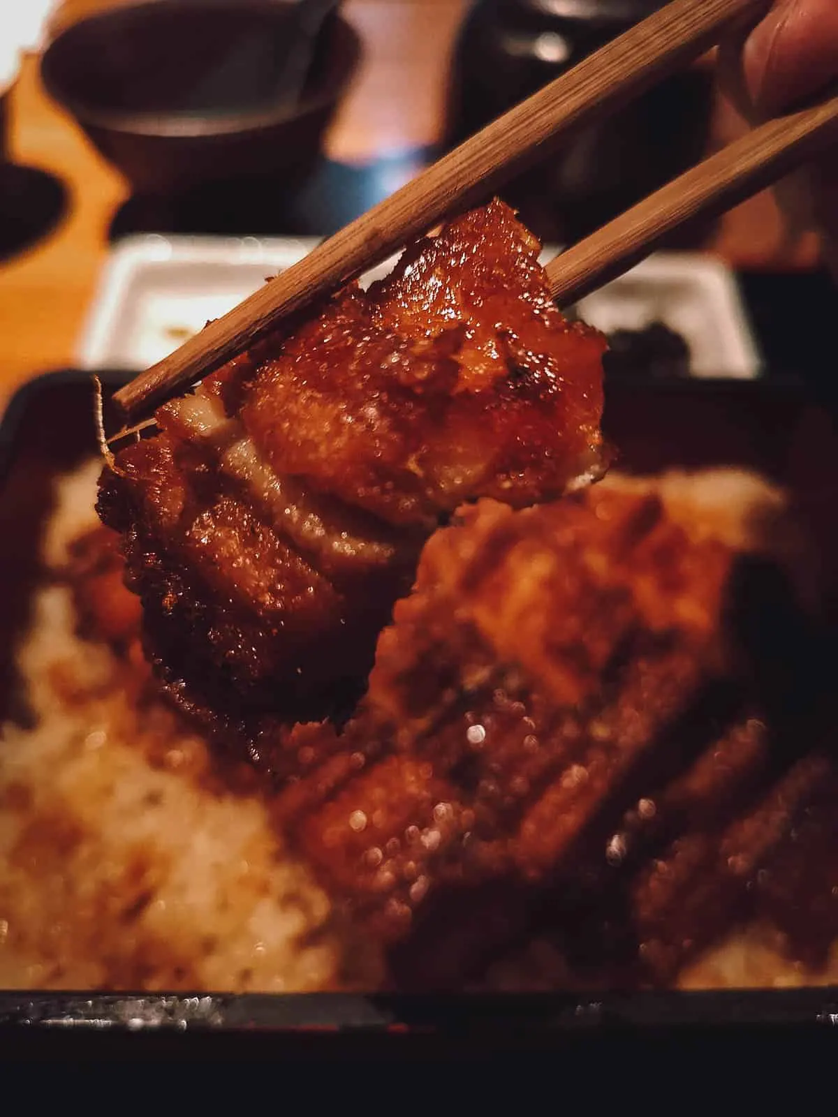 Hiroshima Food Guide: 8 Must-Try Restaurants Closeup of anago