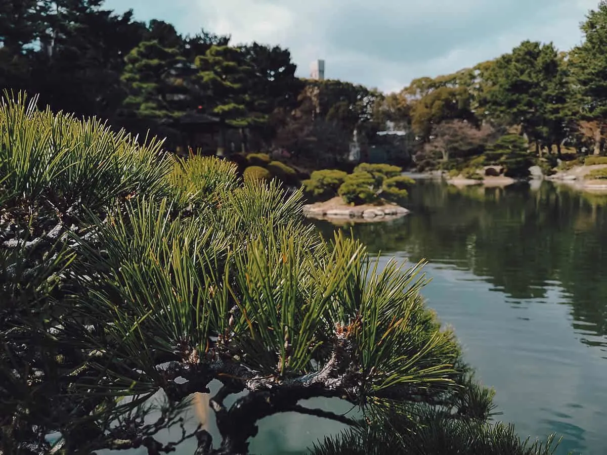Pond at Shukkei-en Garden
