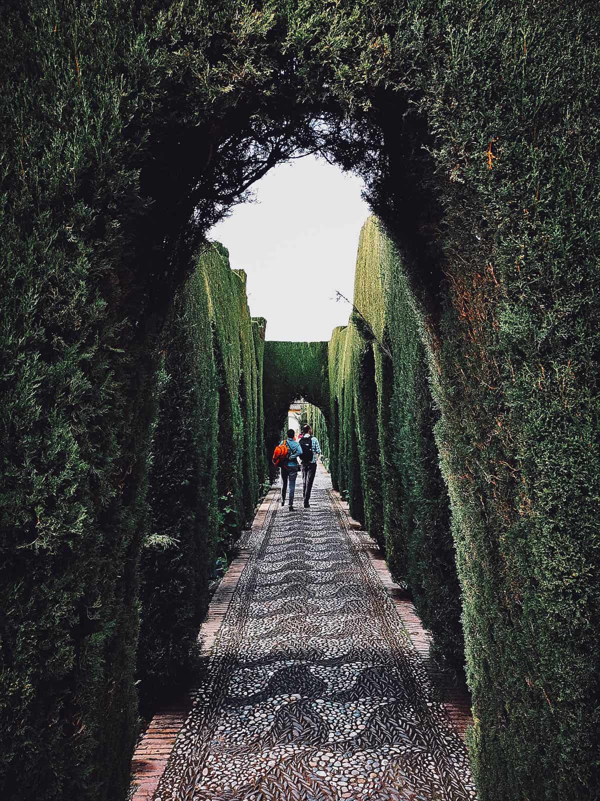 Walking through bushes shaped like arches in Granada, Spain