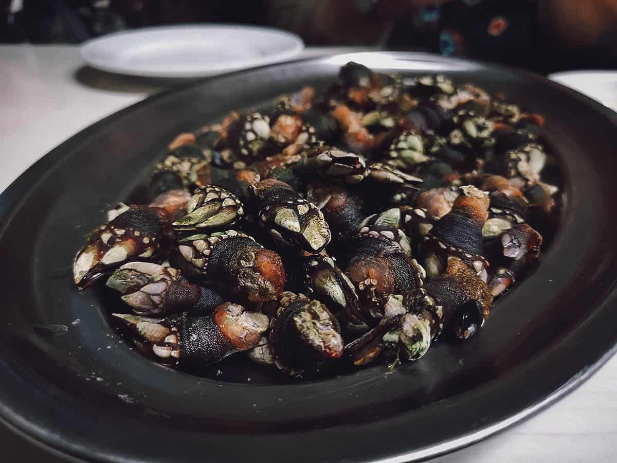 Percebes